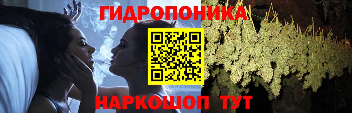 Бошки Шишки конопля Саранск